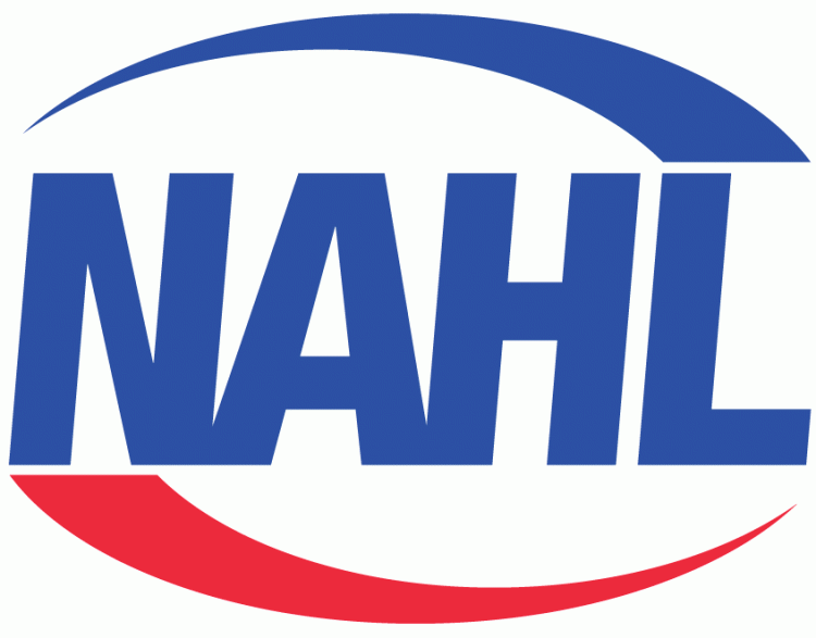 NAHL iron ons